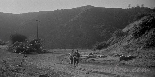 映画【ボディ・スナッチャー／恐怖の街（1956）】あらすじと観た感想