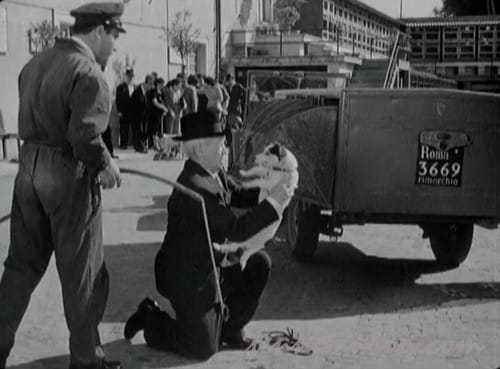 【ウンベルトD】