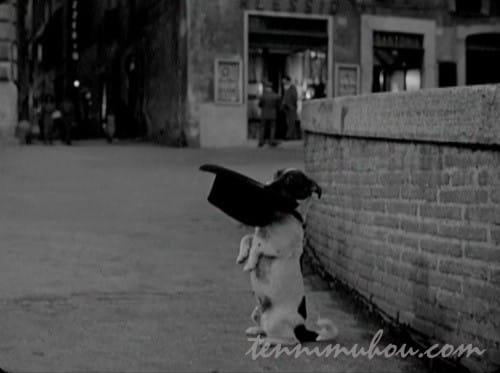 【ウンベルトD】