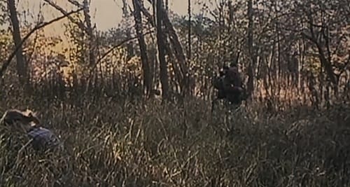 【ブレア・ウィッチ・プロジェクト】